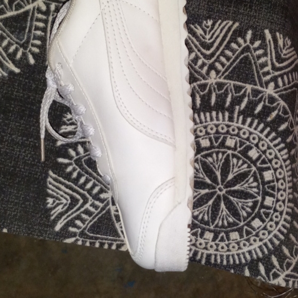 Pumas - Picture 11 of 12